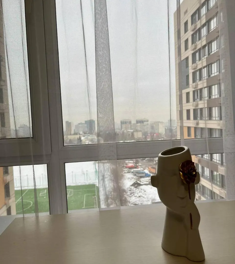 Spacious Apartment On The 7Th Floor With A View Of The Football Field Almaty Kazakhstan